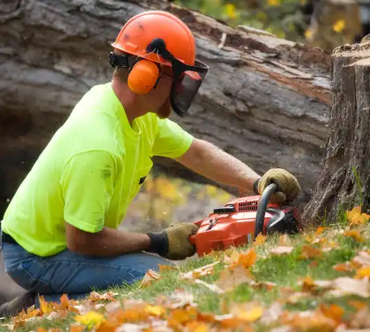 tree services Wisner